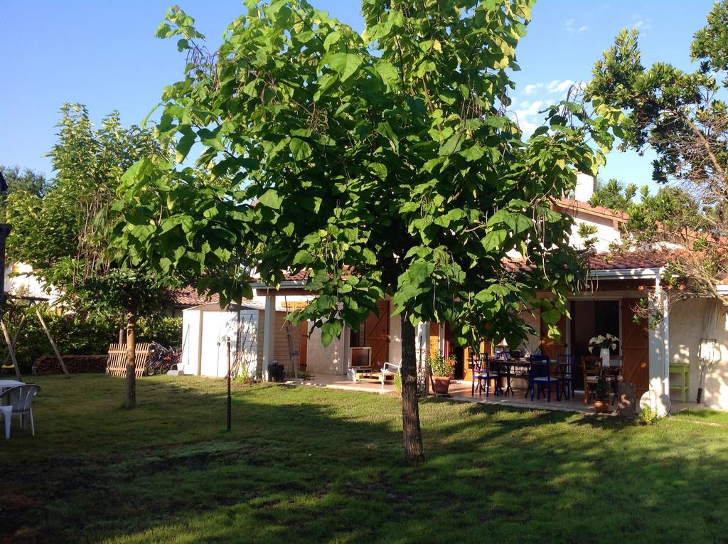 Les Arums De Sanguinet Buitenkant foto